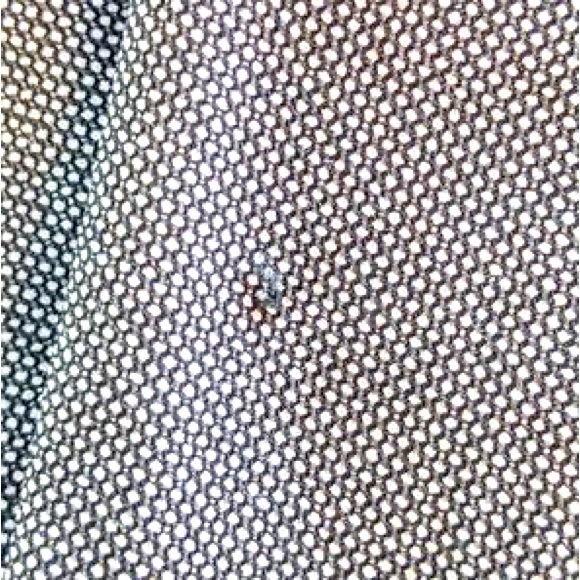 Modern Fit Ankle Work Pant Size 0 - Picture 2 of 3